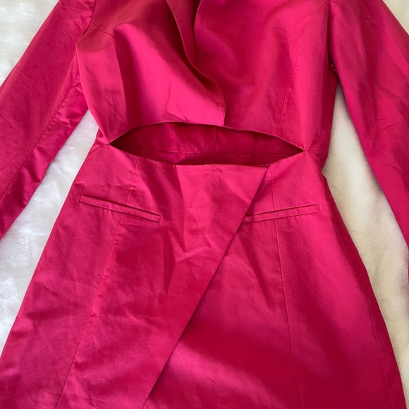Zara Blogger Favorite Pink Cut-Out Dress - Picture 9 of 16